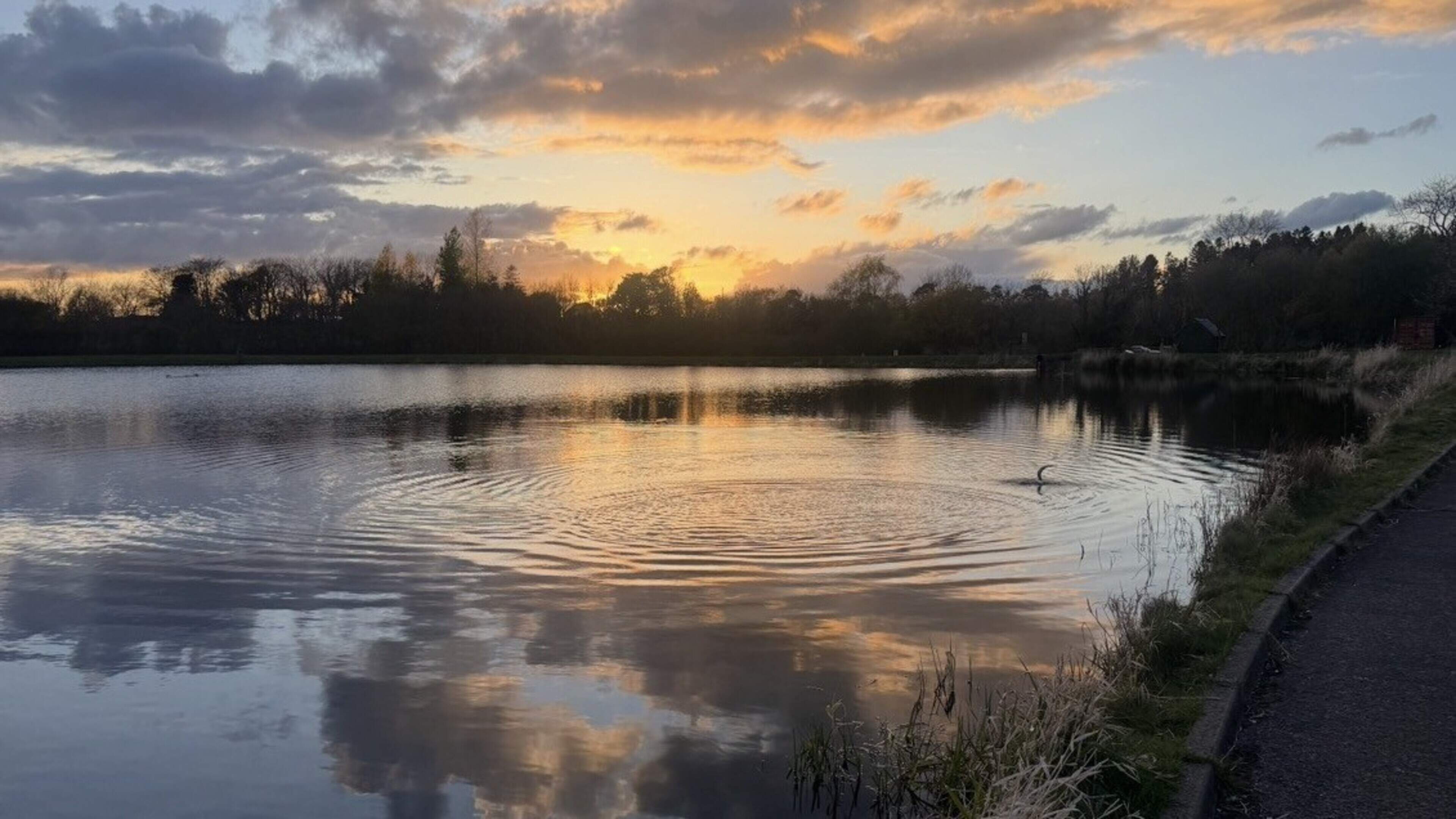 Families encouraged to take a walk on the wild side with Antrim anglers events