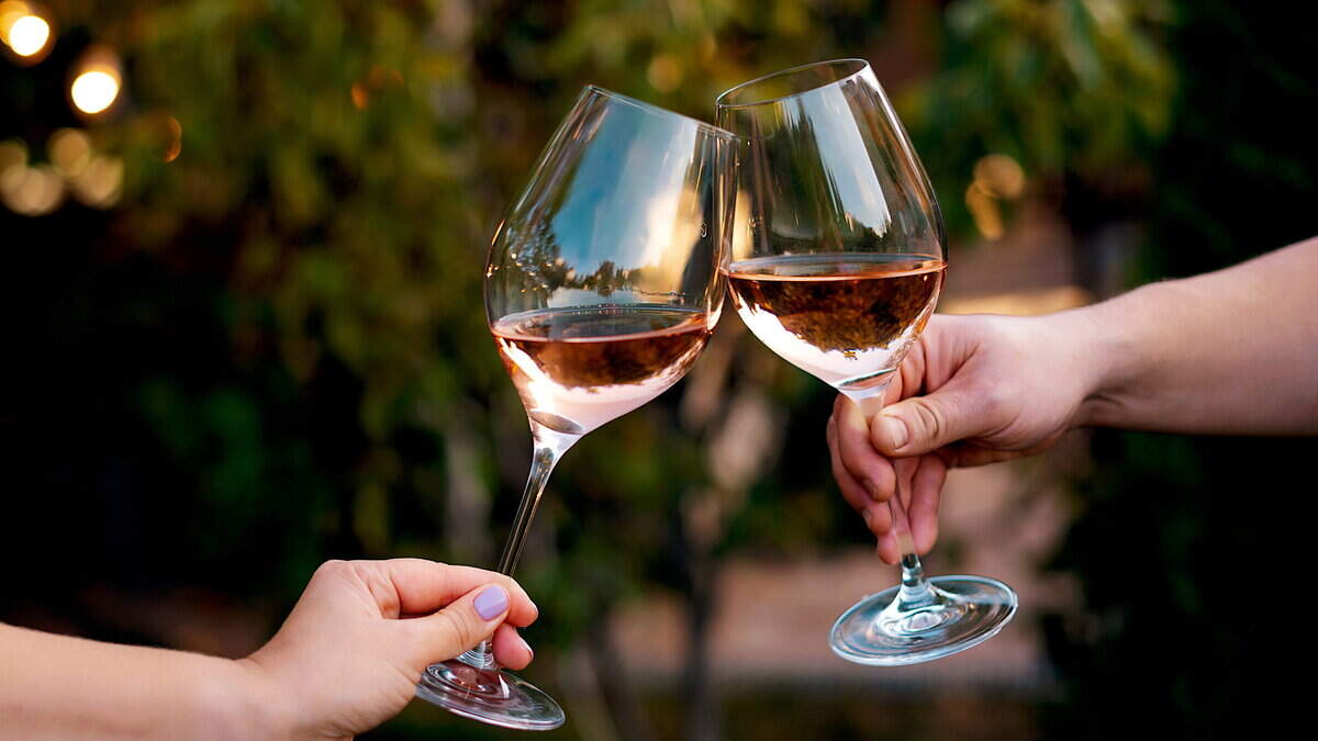 The wine that’s defying the downturn… Seven smashing rosés for summer sipping