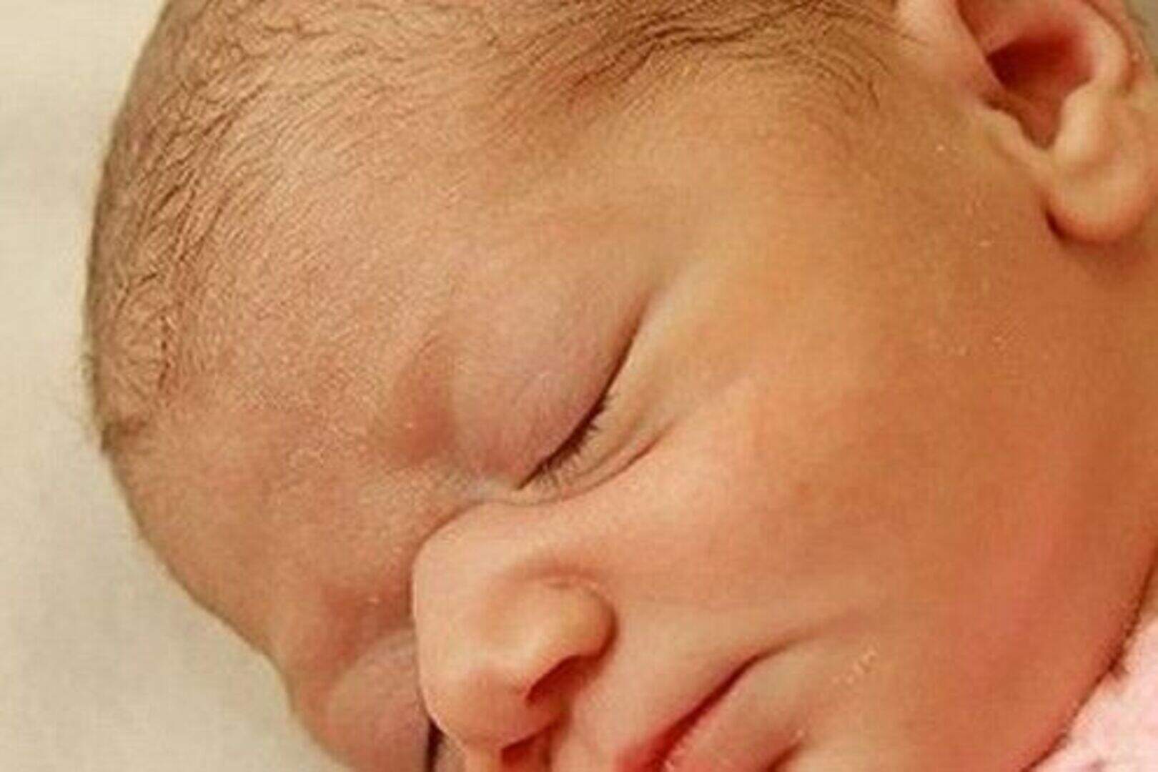 Abandoned baby was found by dog | Belfast Telegraph