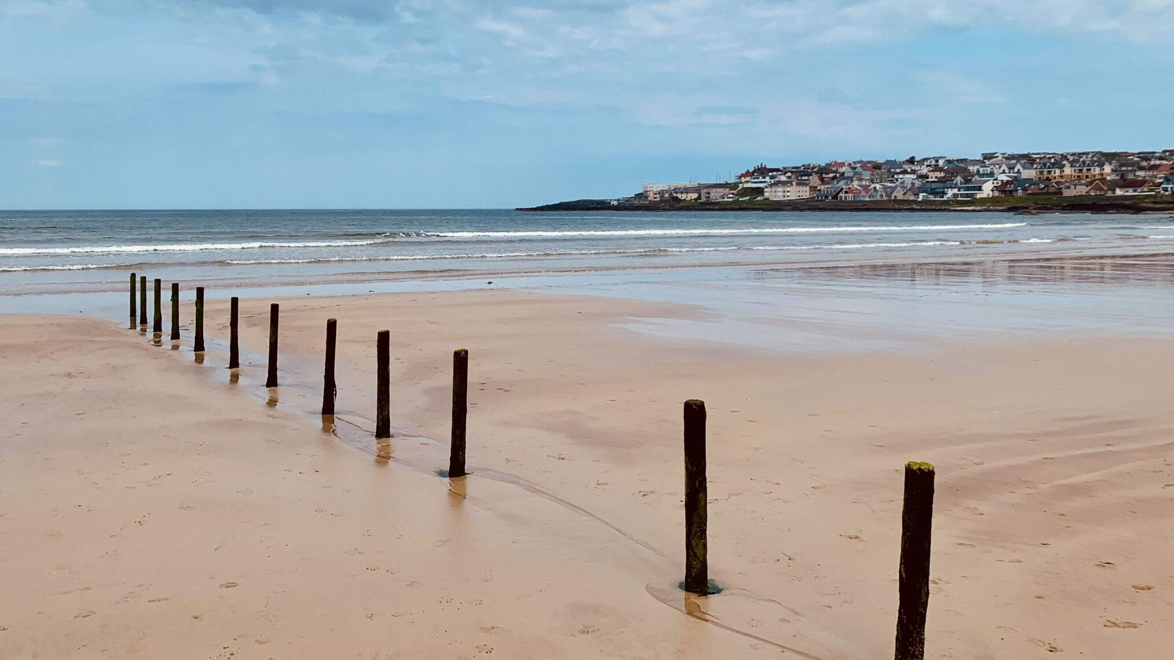 Call about men with knife on beach was barbecue preparation, say police