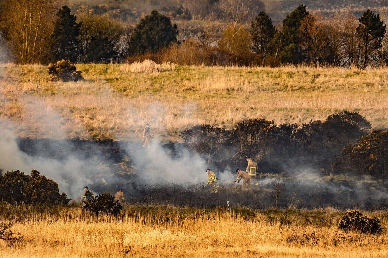 In pictures: Firefighters tackle gorse fire at Giant’s Park in north ...