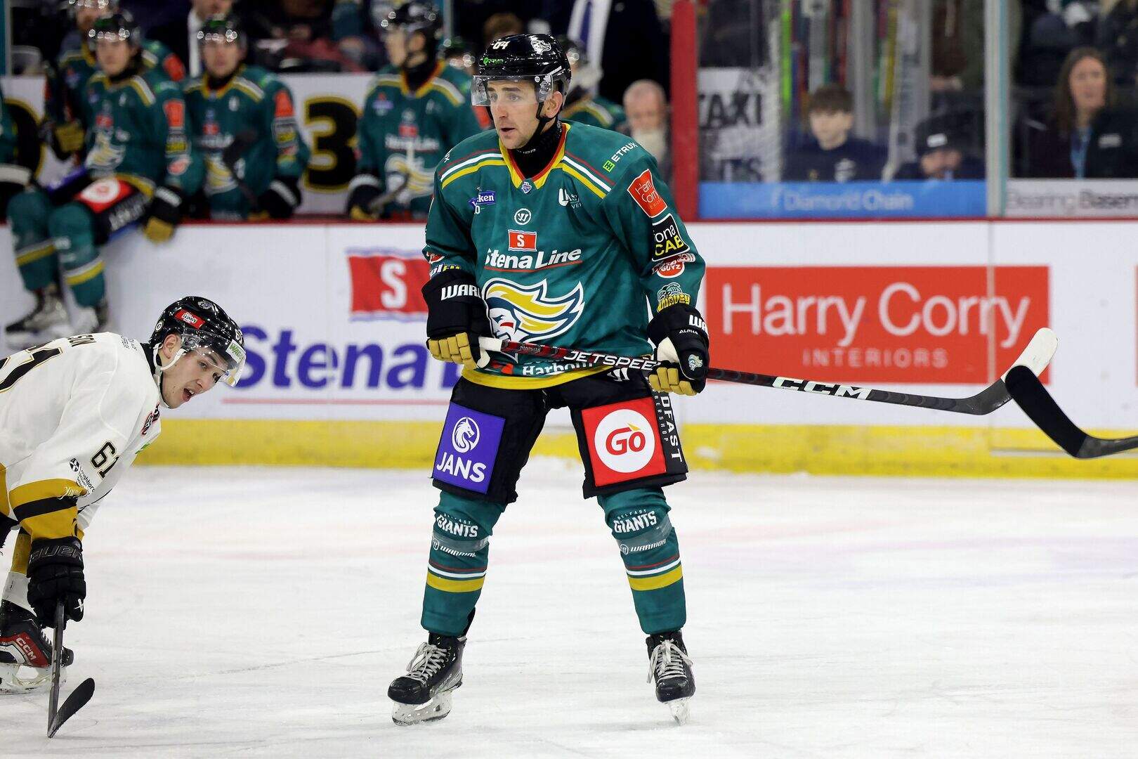 Belfast Giants: Adam Keefe says returning David Goodwin embodies what ...
