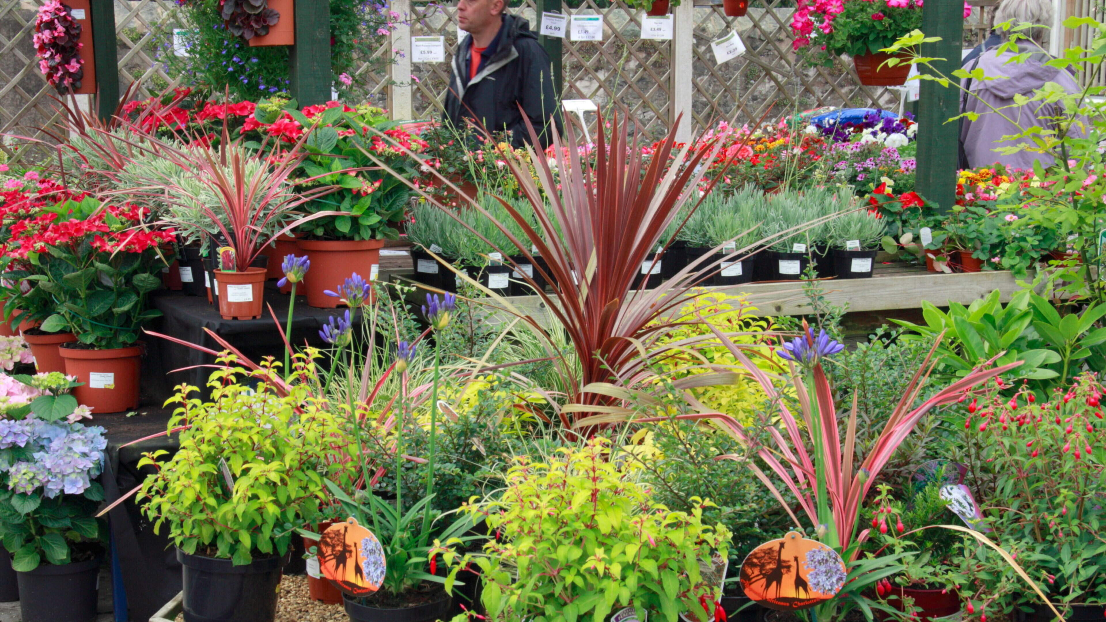 Money saving tips for the thrifty gardener