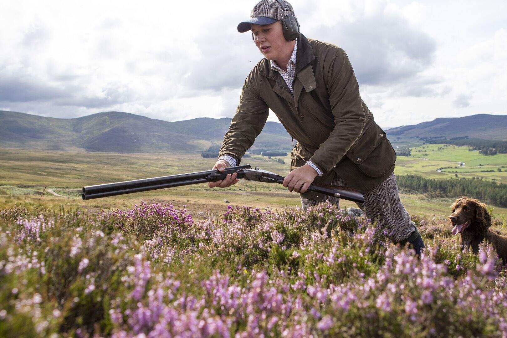 ‘Glorious Twelfth’ marks start of new grouse shooting season | Belfast ...