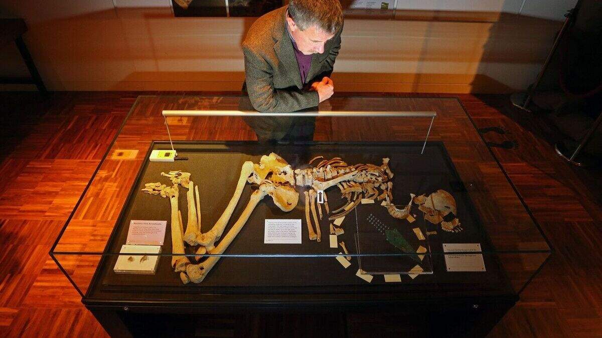 Bronze Age skeleton 'warrior chief' | Belfast Telegraph