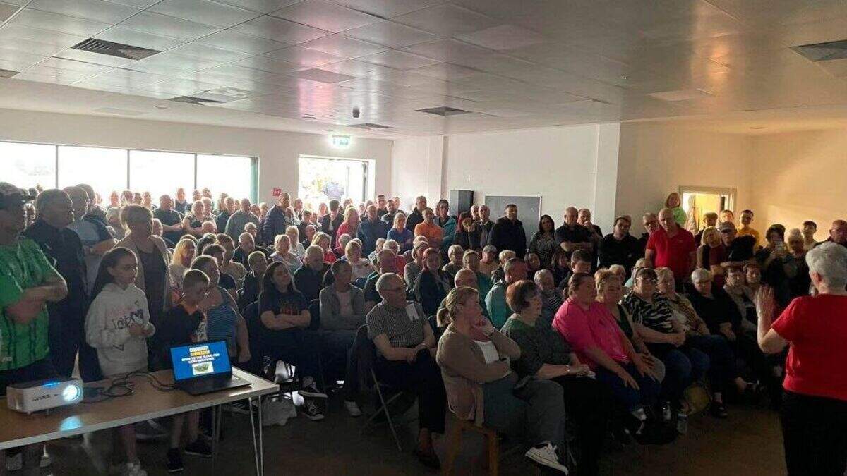 Concerned east Belfast residents attend meeting regarding Irish ...