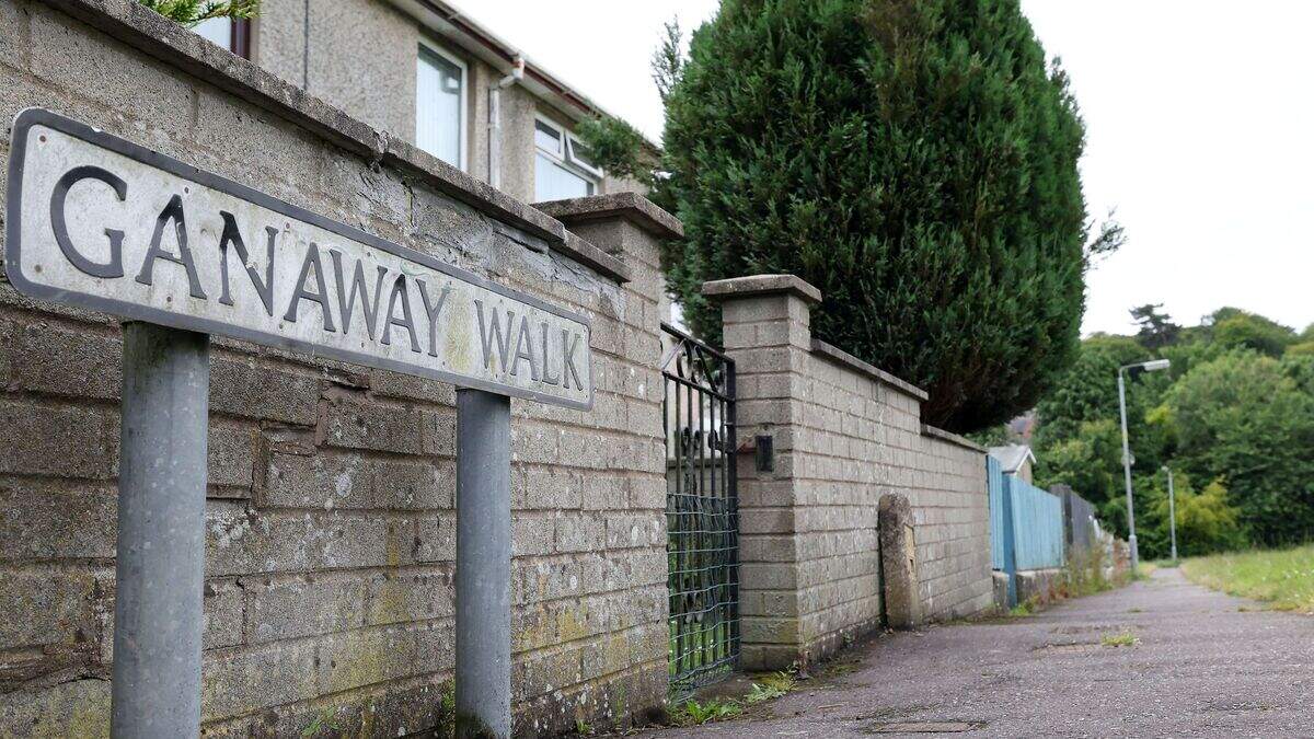 Ganaway Walk Co Down: Appeal for calm after ‘brutal’ Bangor shooting ...