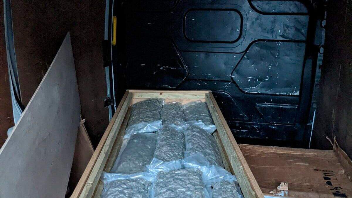 Man (33) arrested after police seize £400,000 worth of drugs at Belfast ...