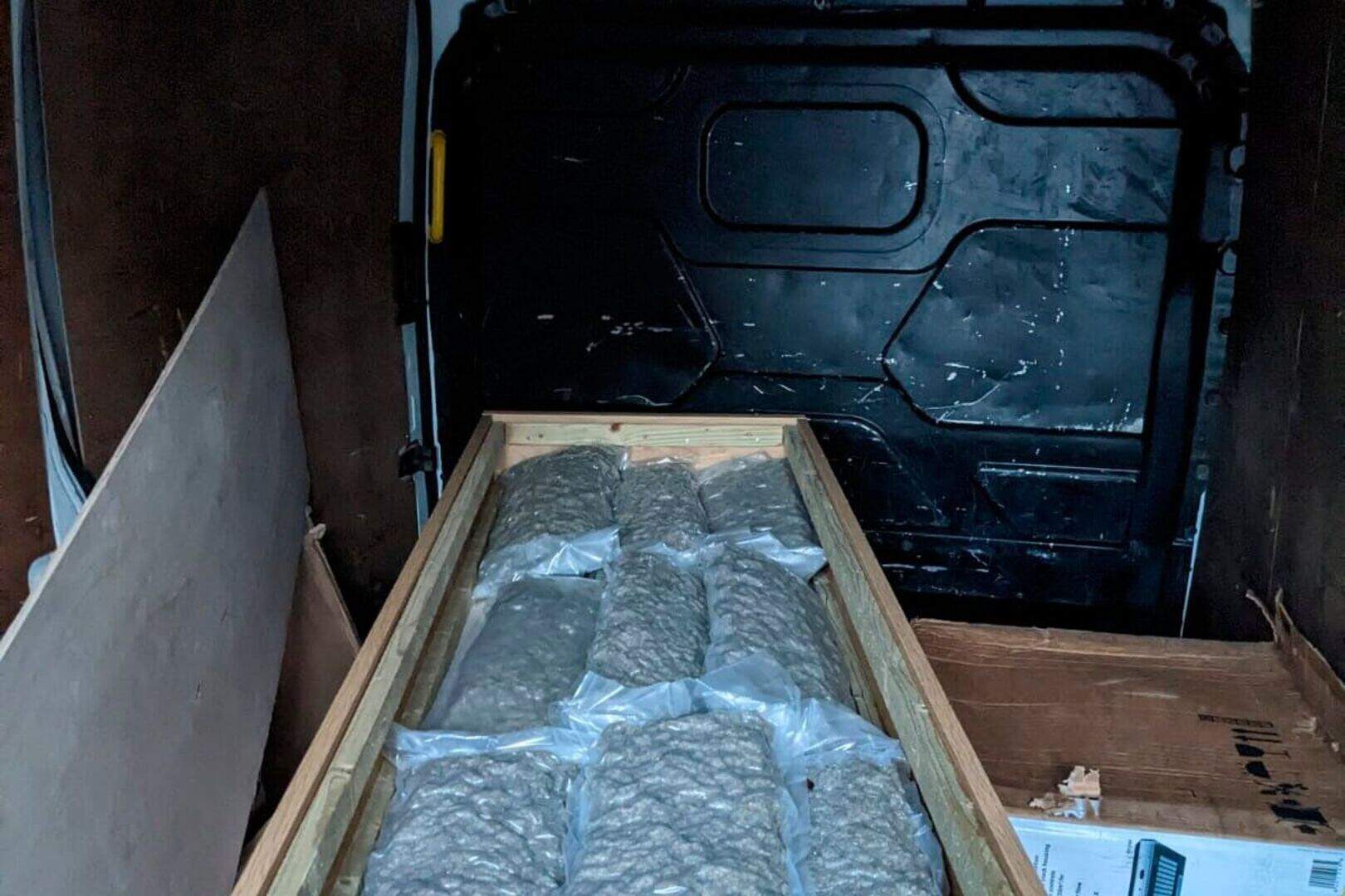 Man (33) arrested after police seize £400,000 worth of drugs at Belfast ...