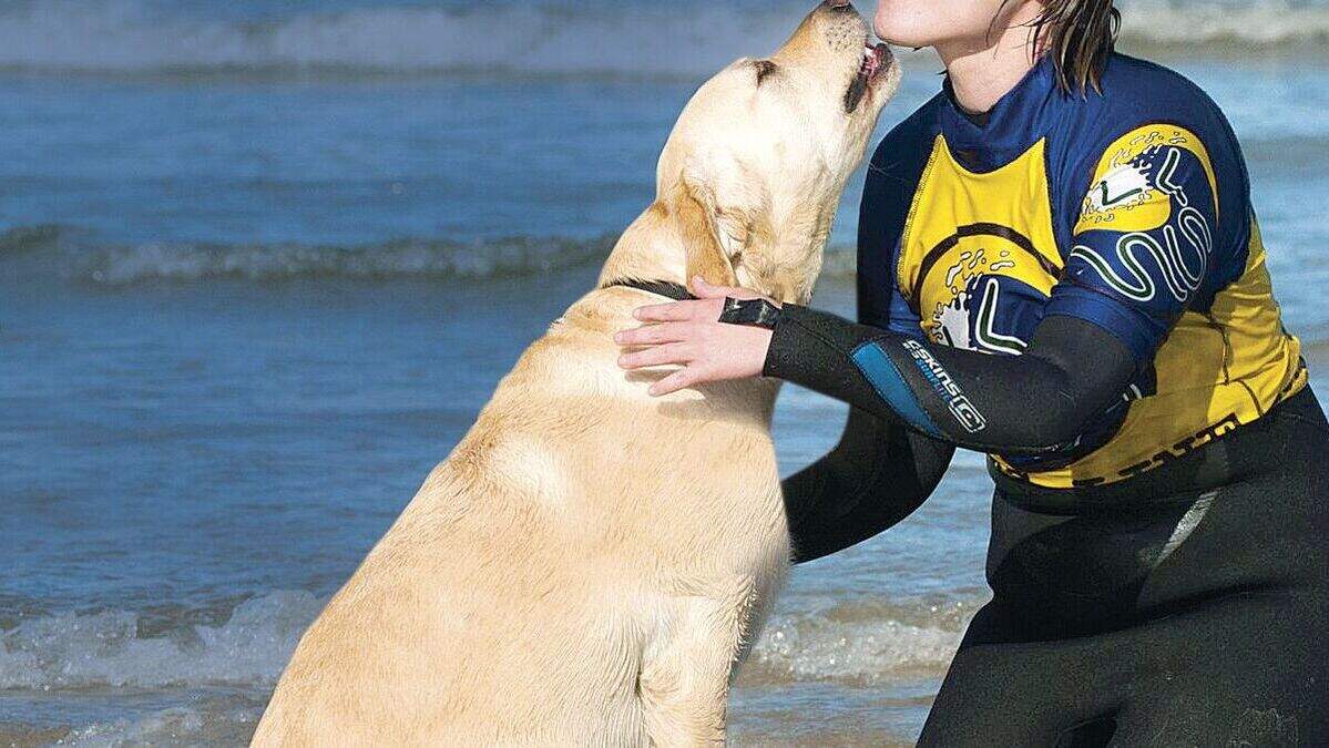 Northern Ireland's guide dogs lick the rest of the UK | Belfast Telegraph