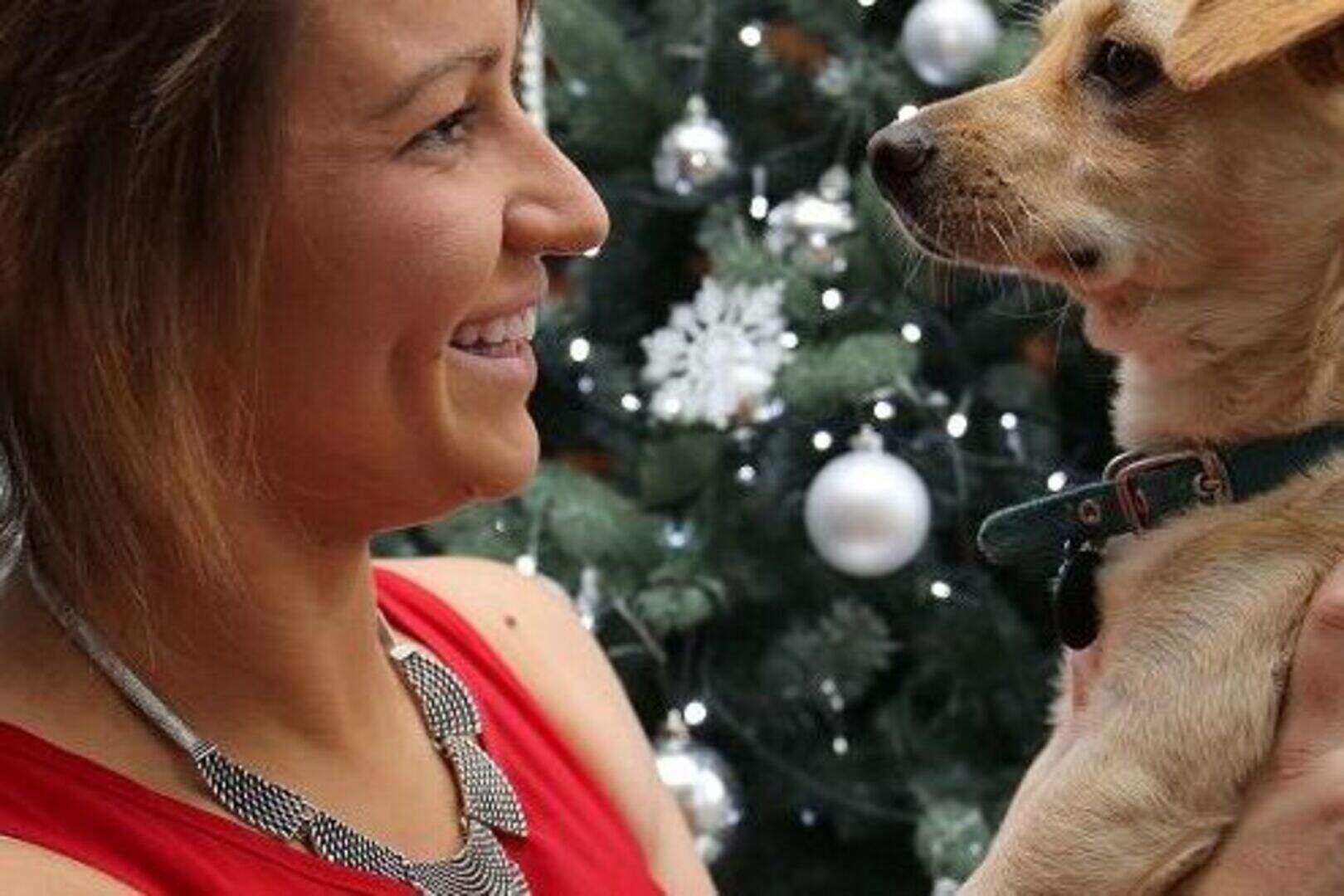 Dog saved by soldier home for Xmas | Belfast Telegraph