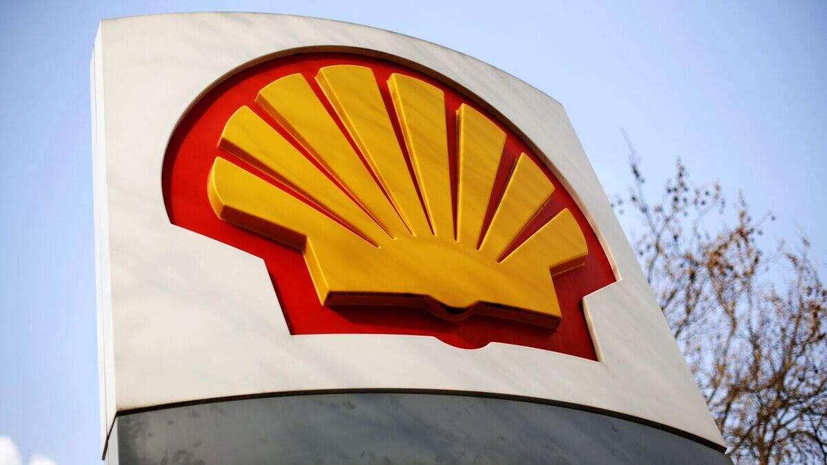 Shell concealing health hazards from Nigerian oil spills, claims ...