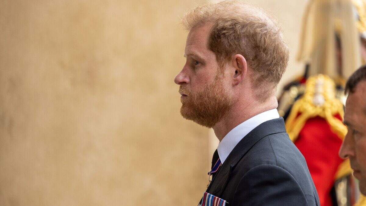 Harry tells TV interviewer he wants his father and brother back ...