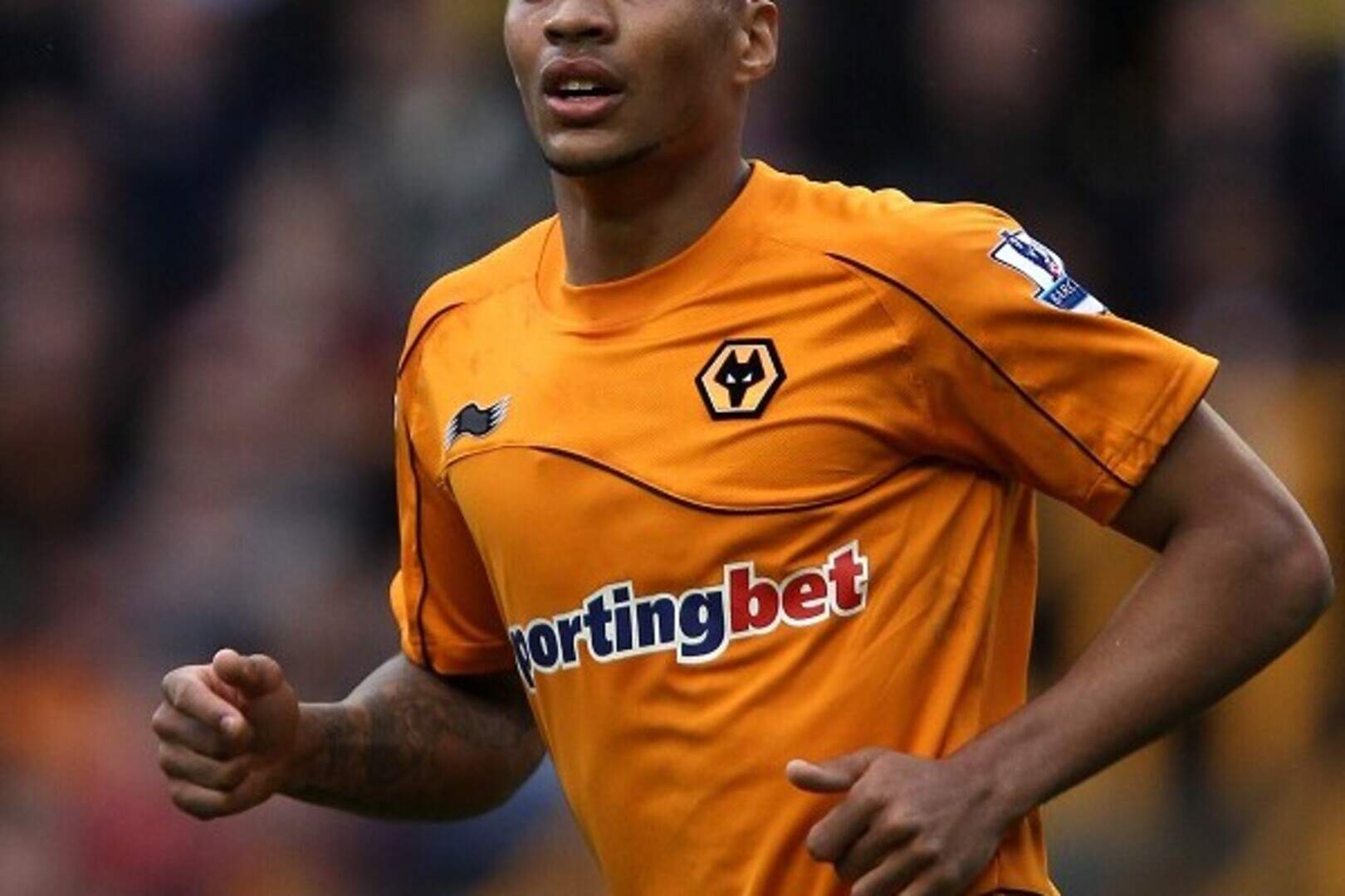 Davis injury blow for Wolves | Belfast Telegraph