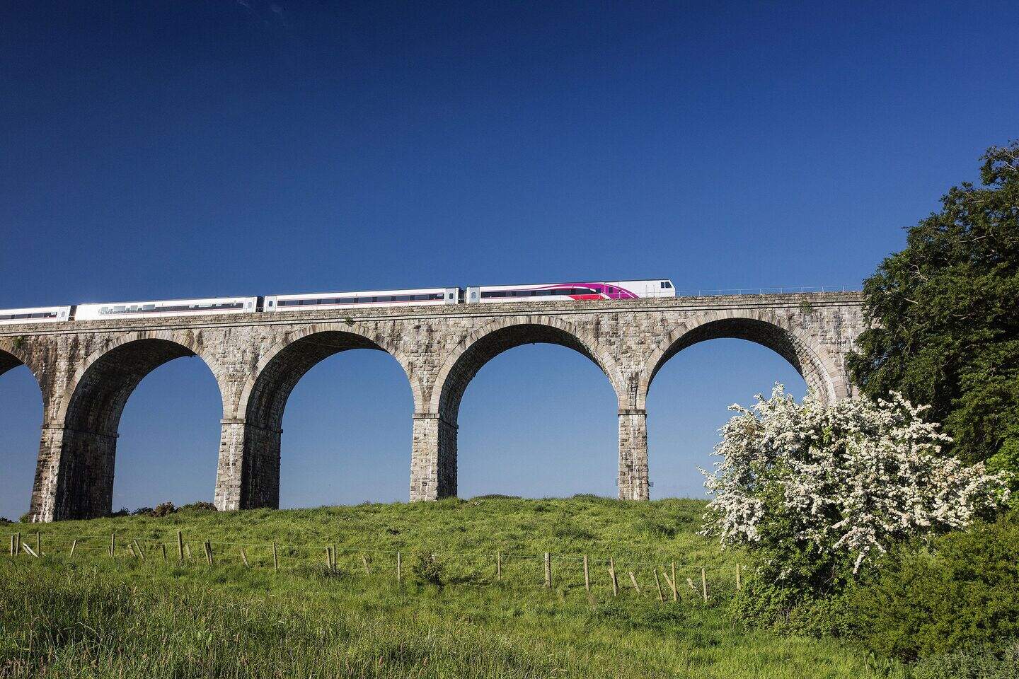 Hopes of hourly Dublin-Belfast train service as Enterprise celebrates ...