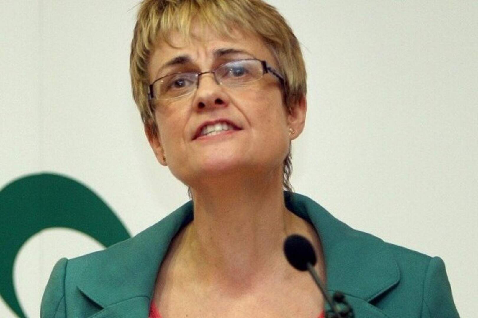 SDLP leadership race is on as Margaret Ritchie quits | Belfast Telegraph