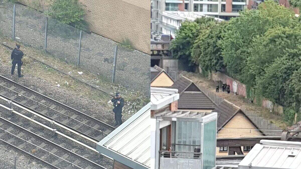 Arrest made and knife seized after person runs onto train tracks in ...