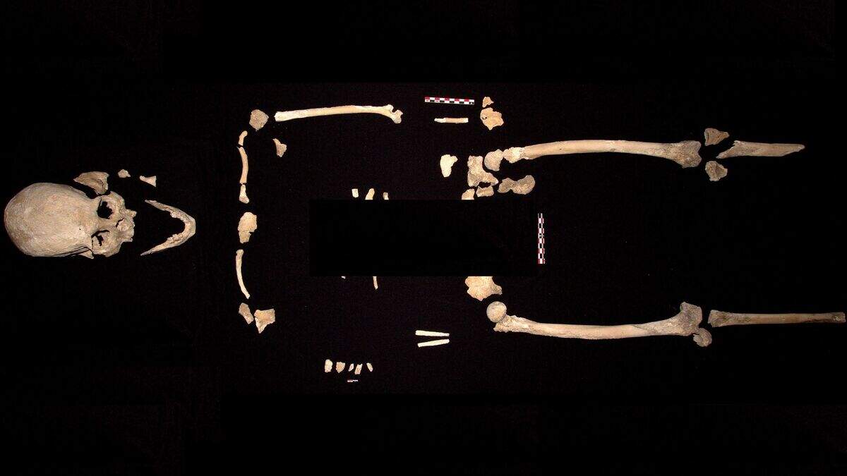 10,000-year-old skeleton challenges theory of how humans arrived in ...