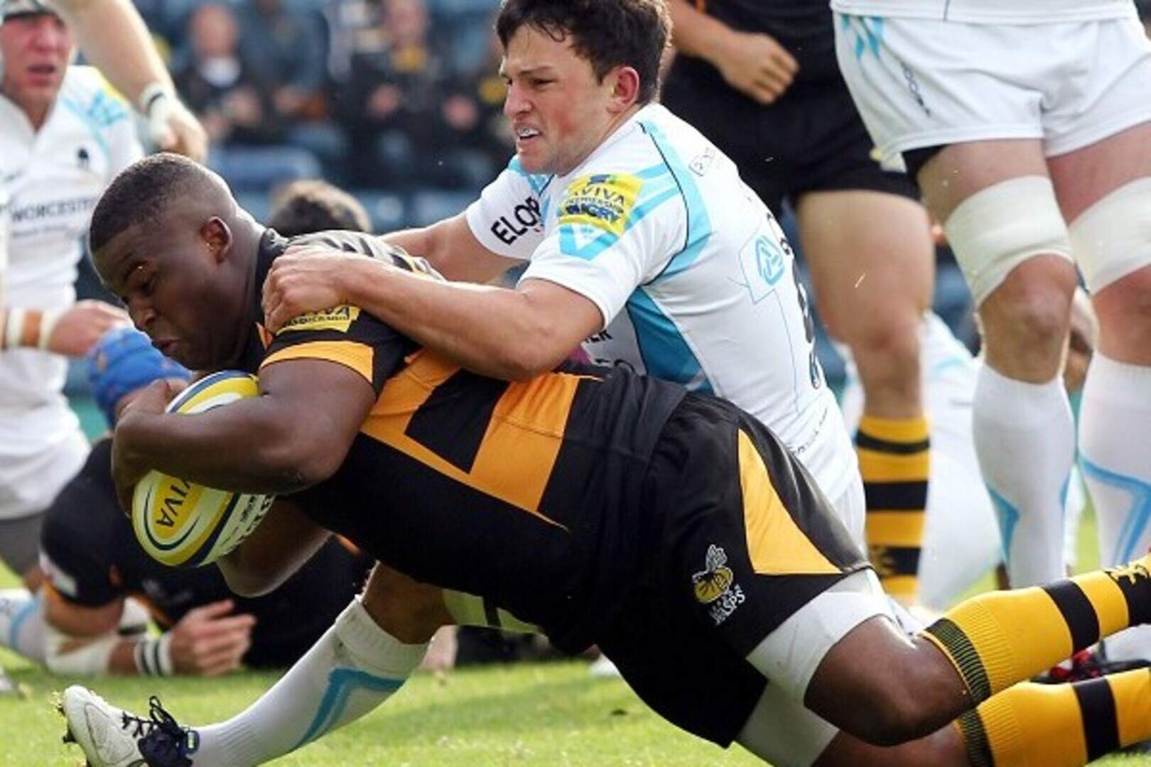 McIntyre helps Wasps bounce back | Belfast Telegraph