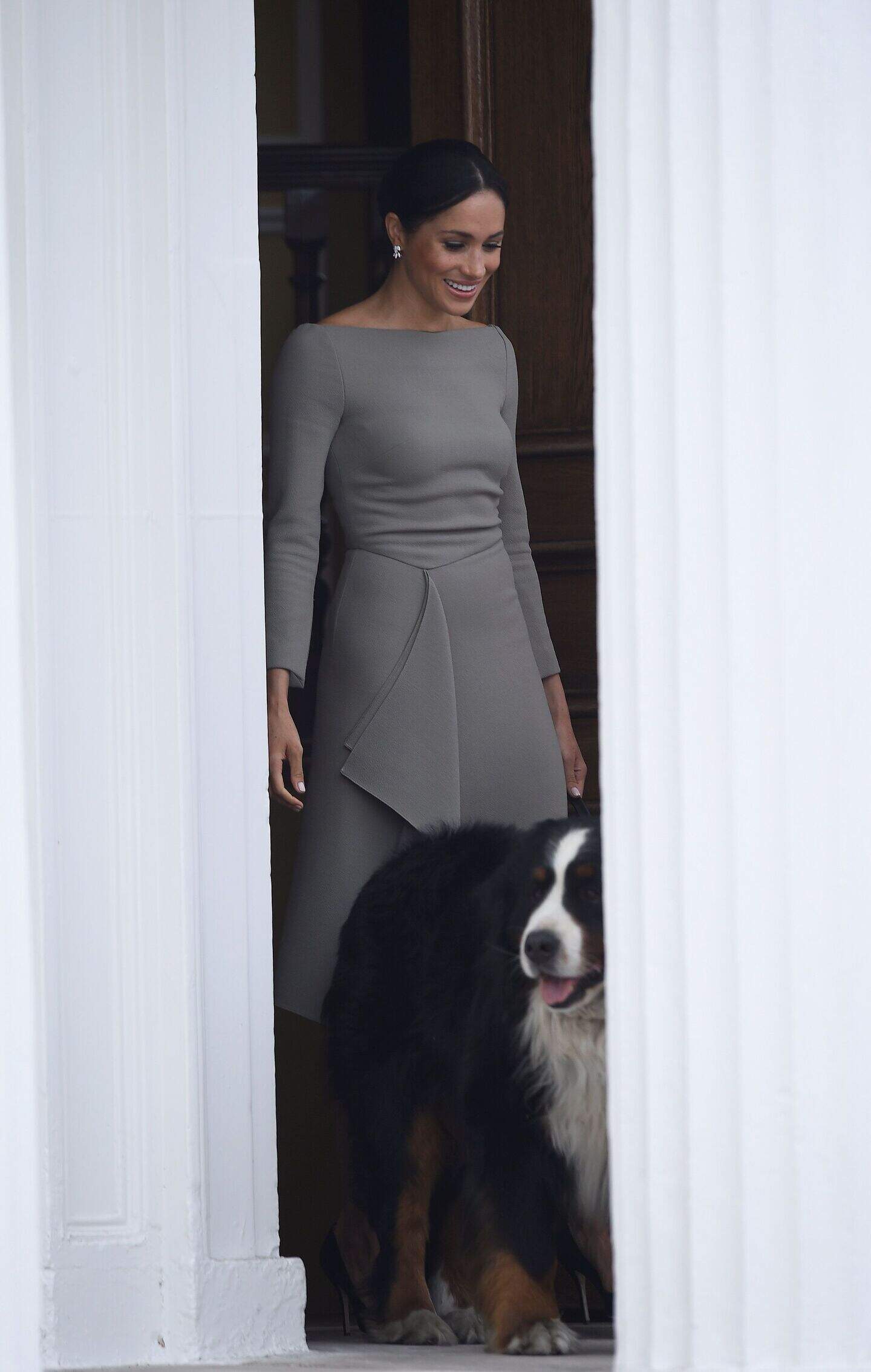 Harry and Meghan’s dogs ‘have been flown to Canada’ | Belfast Telegraph