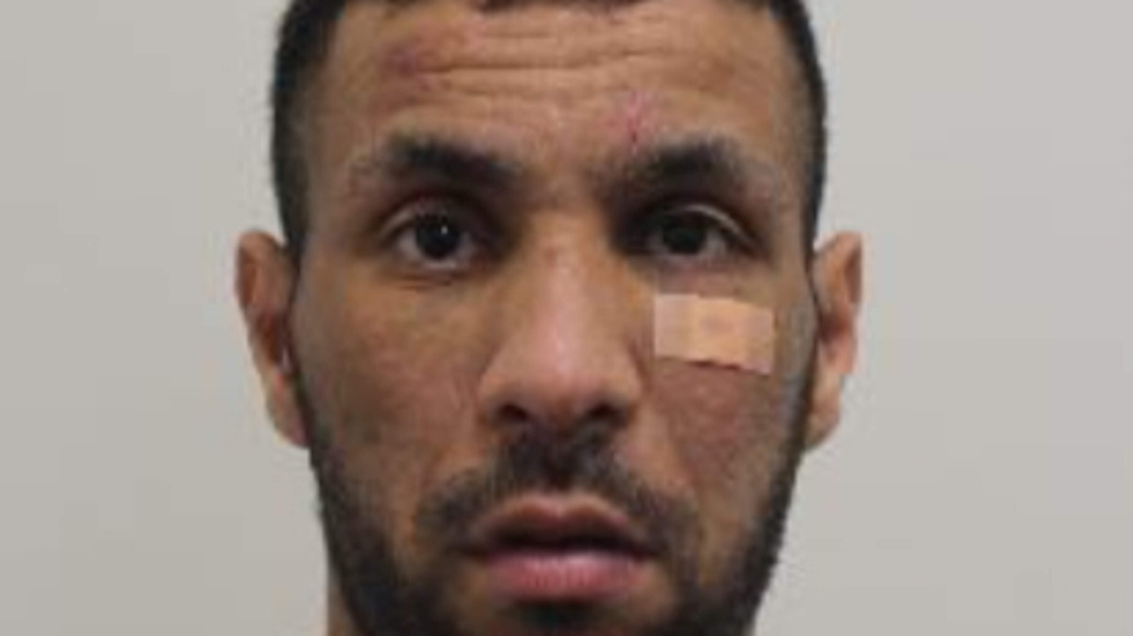Thief who swiped handbag from pub containing Faberge egg and watch worth £2m caught after being arrested in Belfast