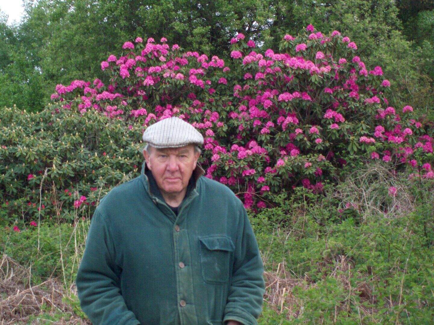 Police hunting man wanted over murder of 83-year-old | Belfast Telegraph