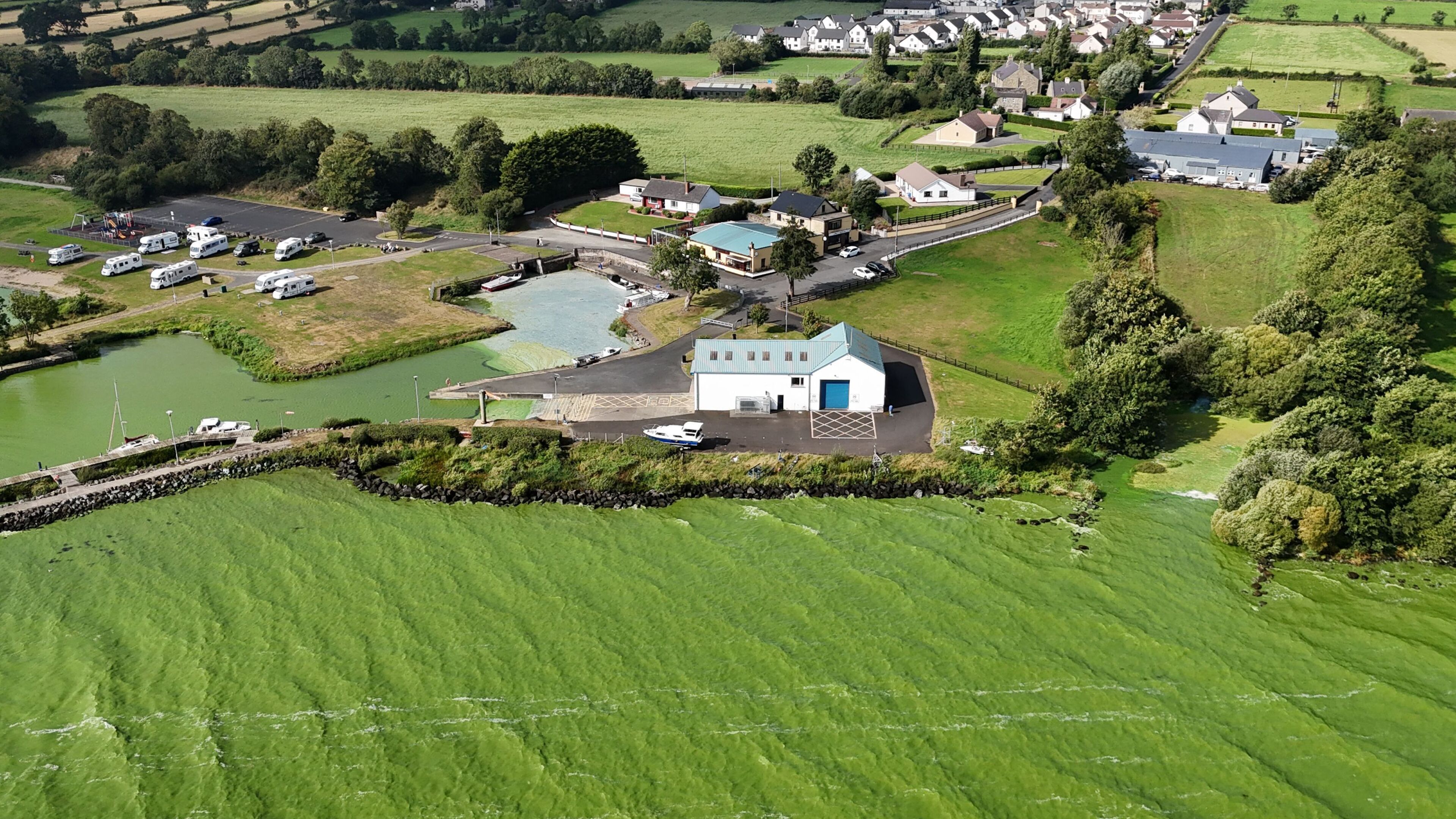 Algae spotted in Lough Neagh for the first time this year is ‘sadly not surprising’