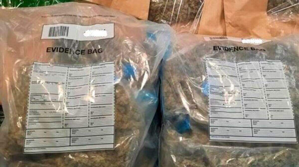 Two arrested after £165,000 Belfast drugs seizure | Belfast Telegraph