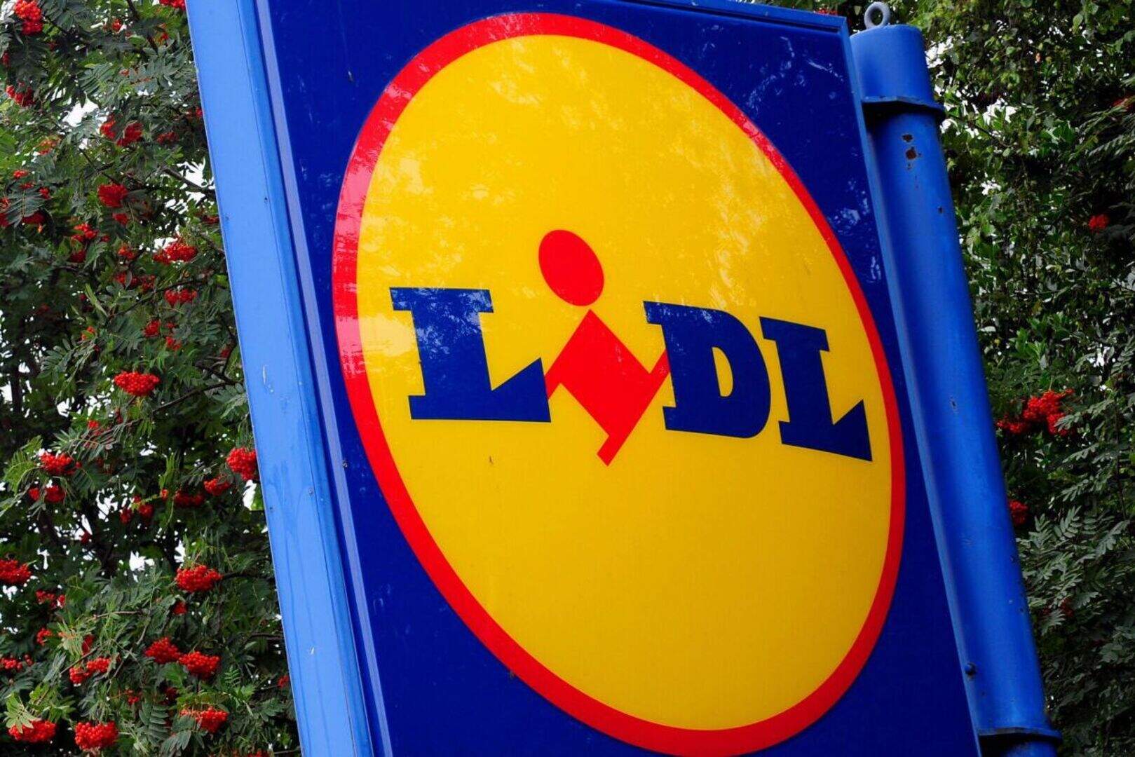Lidl to create up to 400 jobs at new distribution centre in Southampton ...