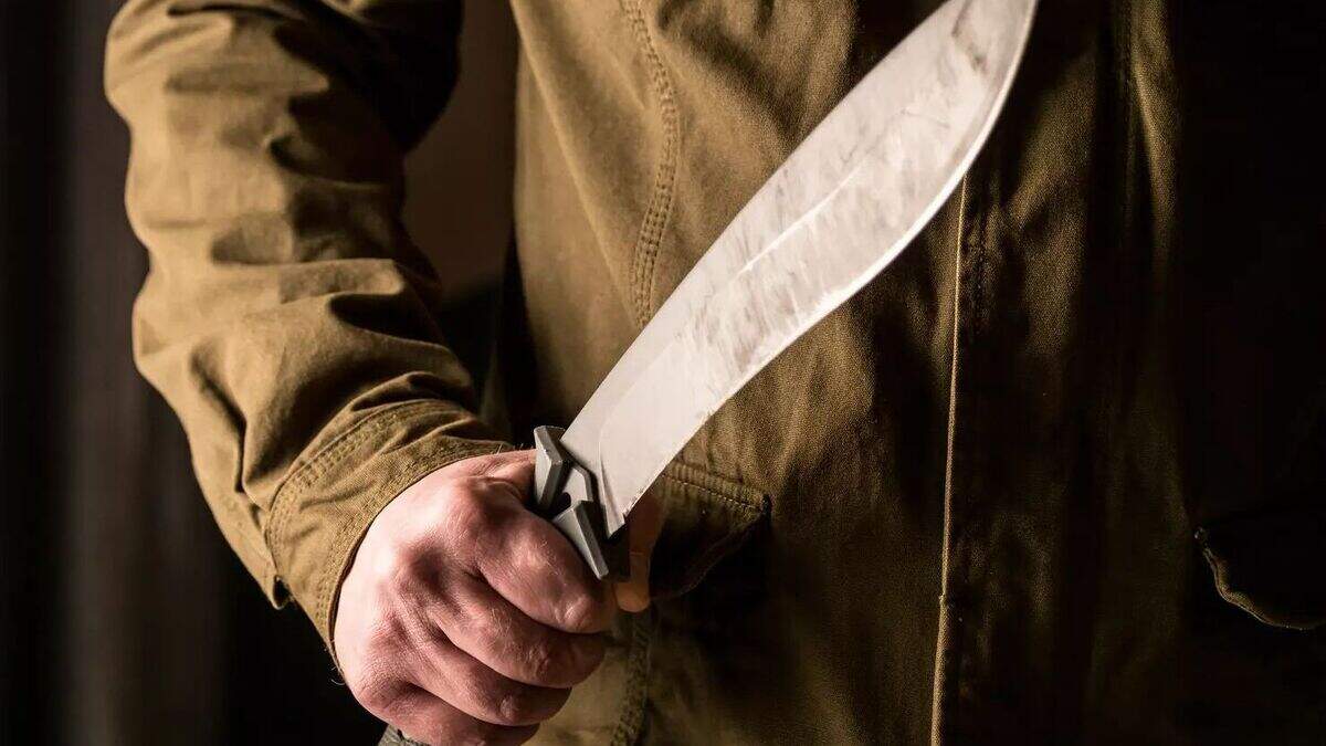 Father and son accused of attempted murder following machete attack ...