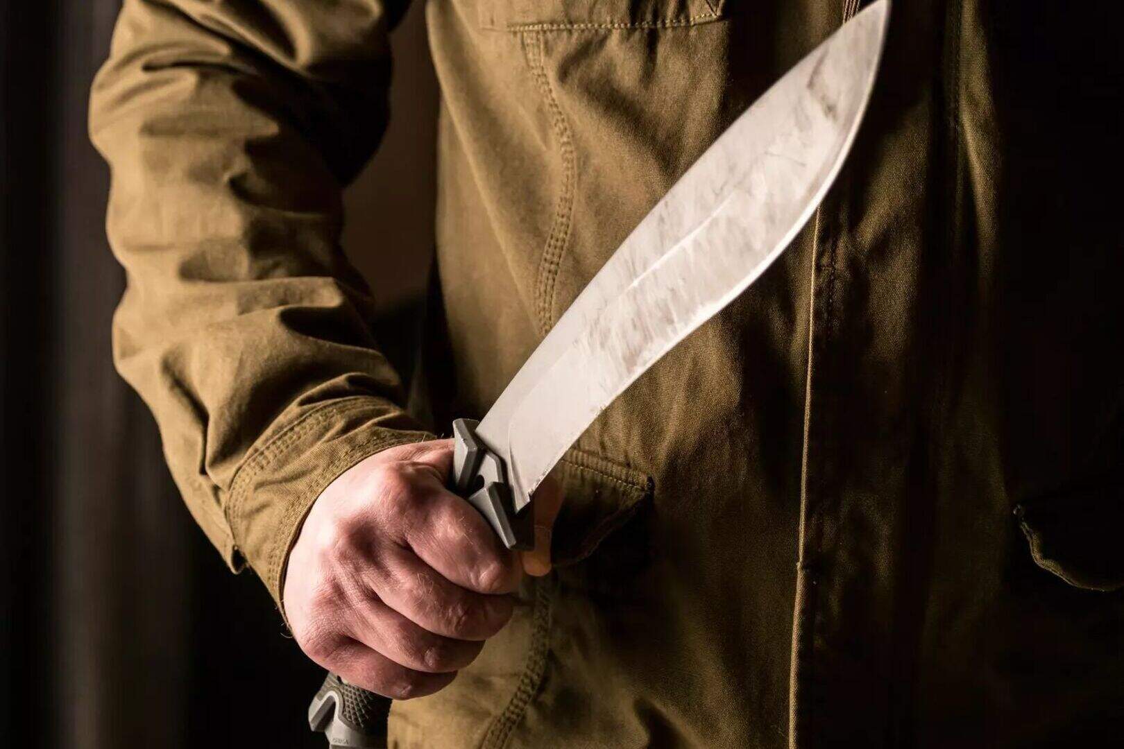 Father and son accused of attempted murder following machete attack ...