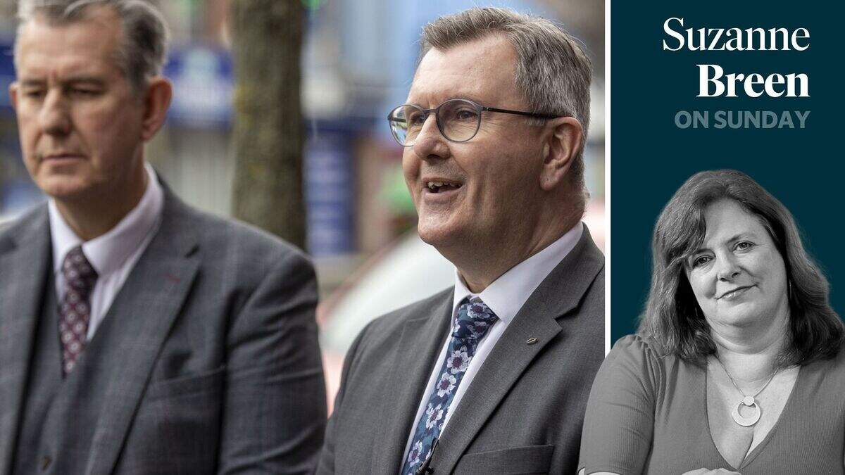 Edwin Poots’ record on sex offenders is exemplary. He can’t be the DUP fall guy for Donaldson’s dirty secrets