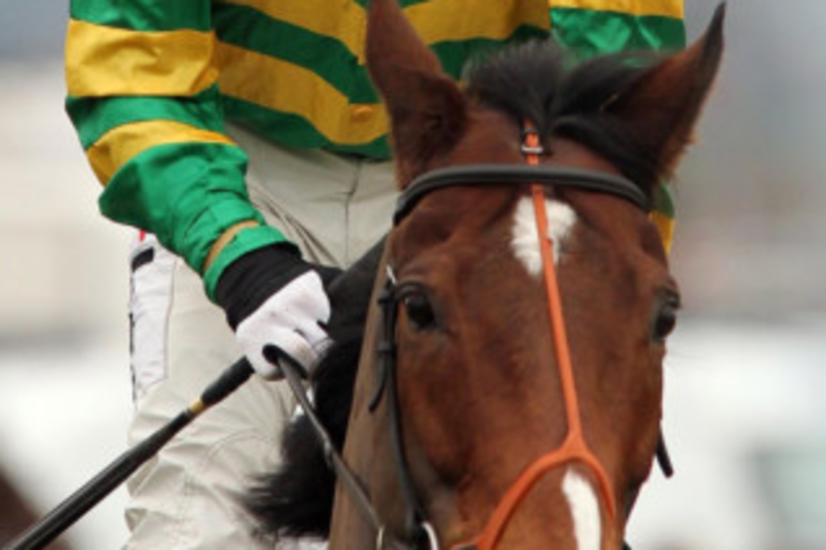 Wife Chanelle may have played a leading role in Tony McCoy's decision ...