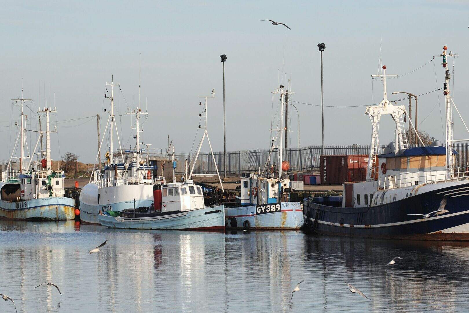 Fishing regulator apologises after ‘scurrilous’ slur in leaked Catch ...