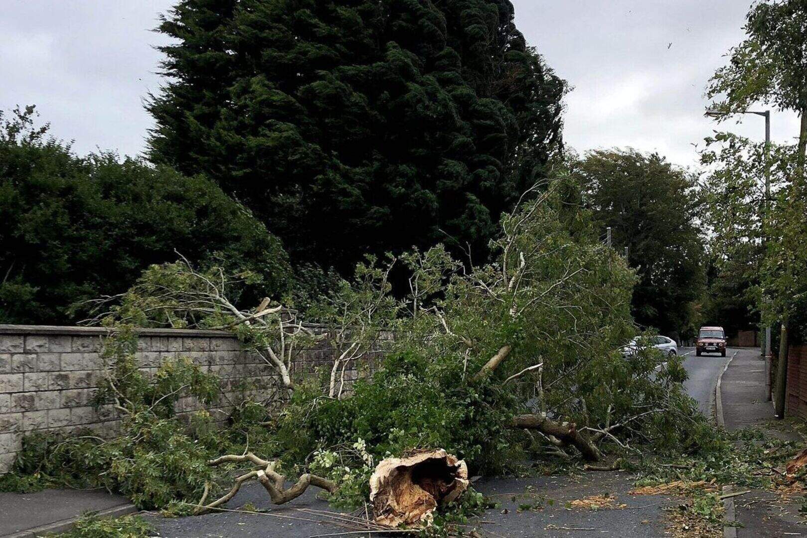All power restored to Northern Ireland following Storm Ali | Belfast ...