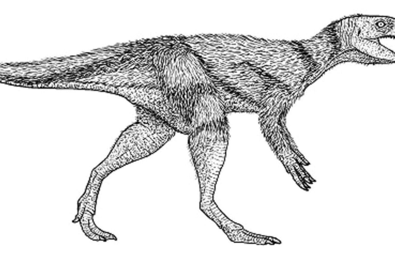 Rising oxygen levels helped North American dinosaurs to thrive ...