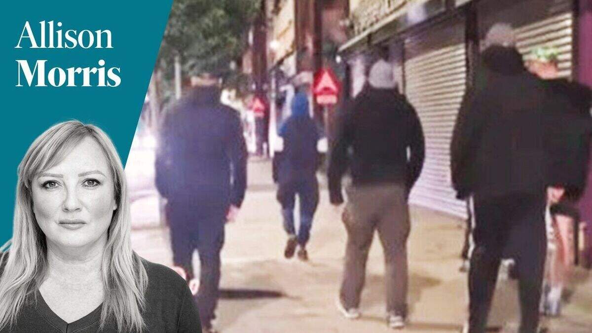 Allison Morris: That vigilantes target ethnic minorities rather than ...