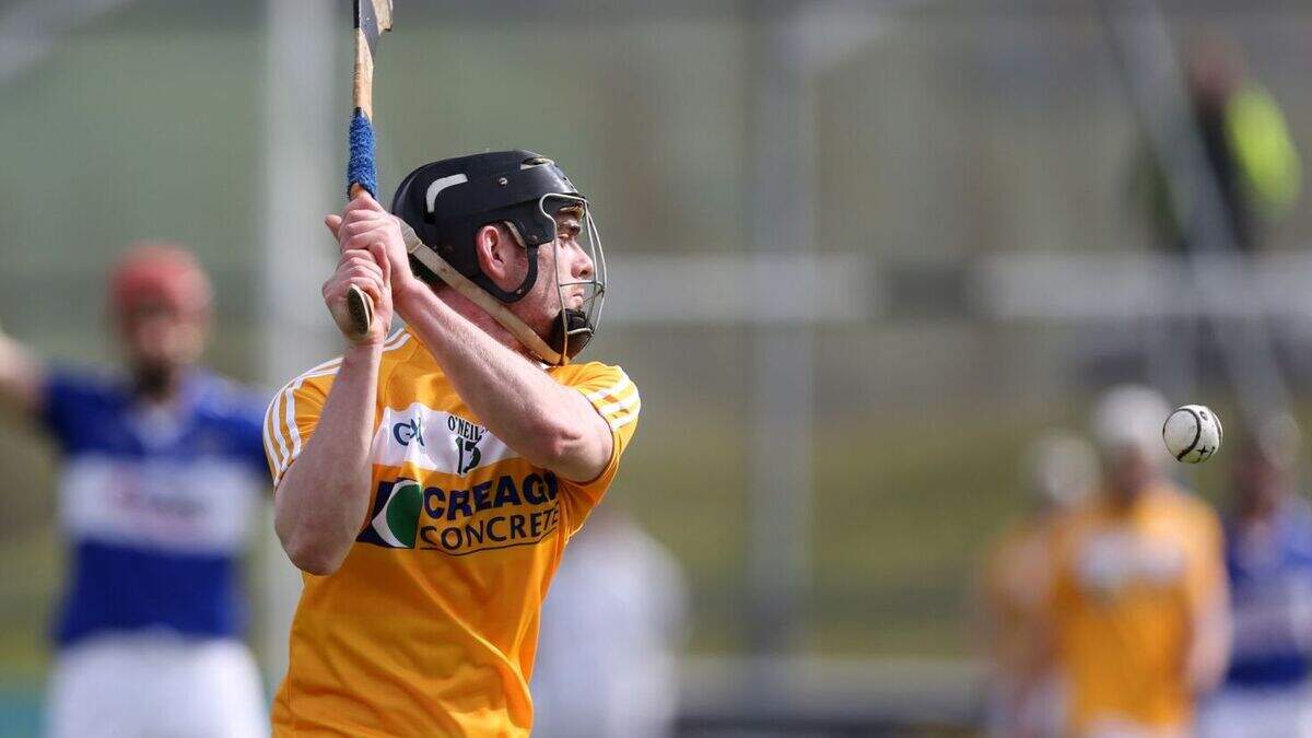 Is hurling the fastest field sport in the world? | Belfast Telegraph