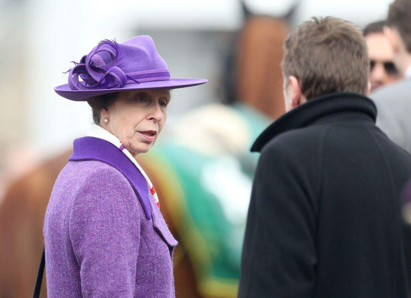 Royal job adverts among the most clicked-on, LinkedIn reveals | Belfast ...