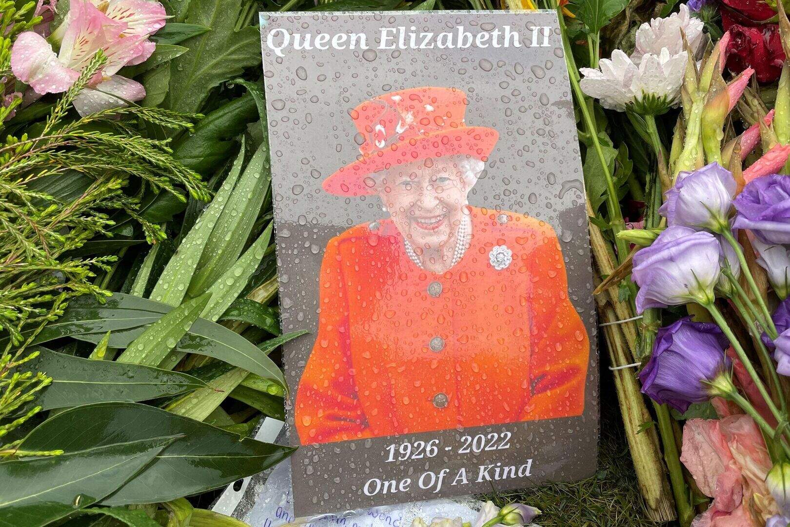 Queen hailed as ‘courageous and gracious’ leader in special sitting of ...