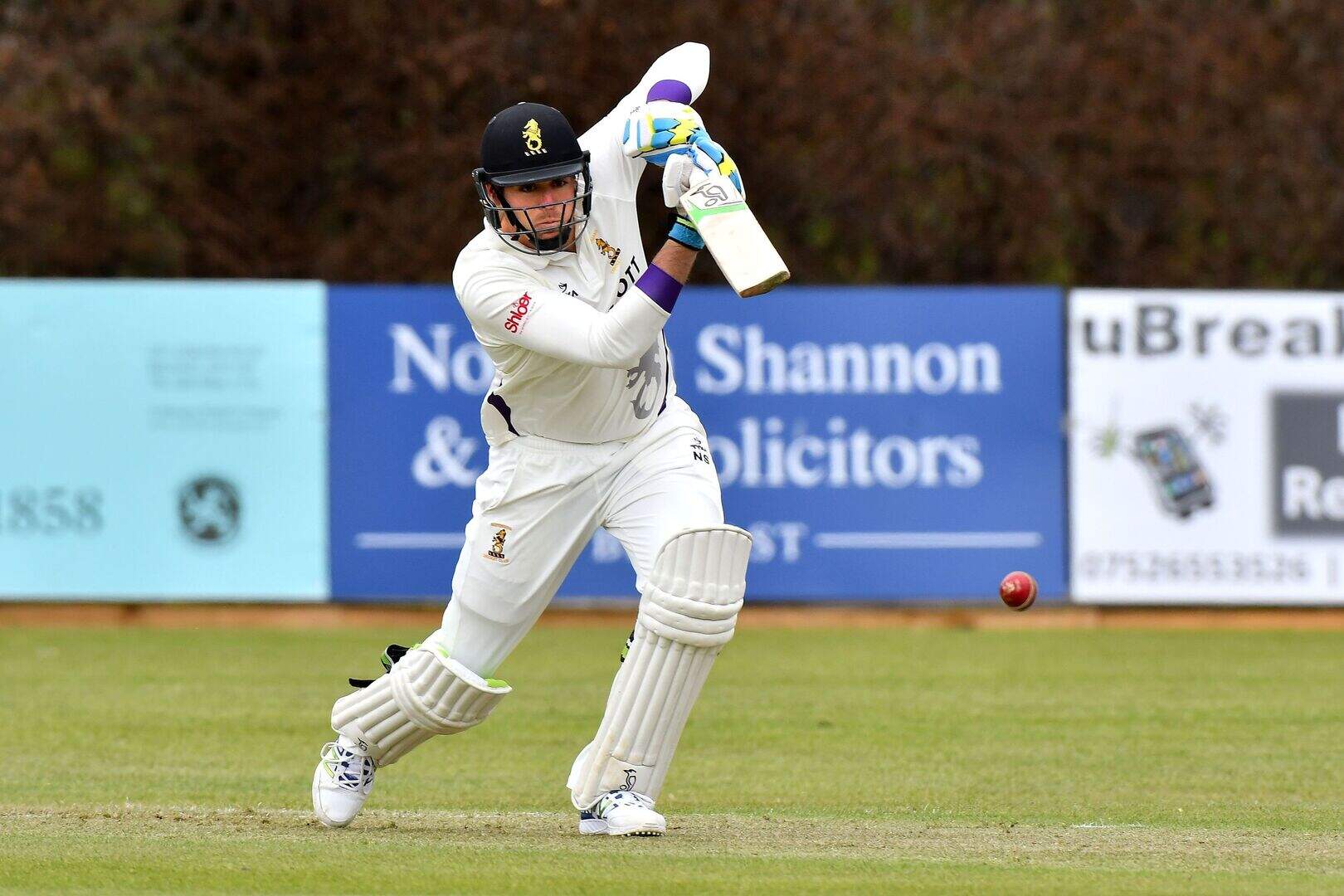 Northern Ireland cricket: Instonians' Nikolai Smith reveals what the ...