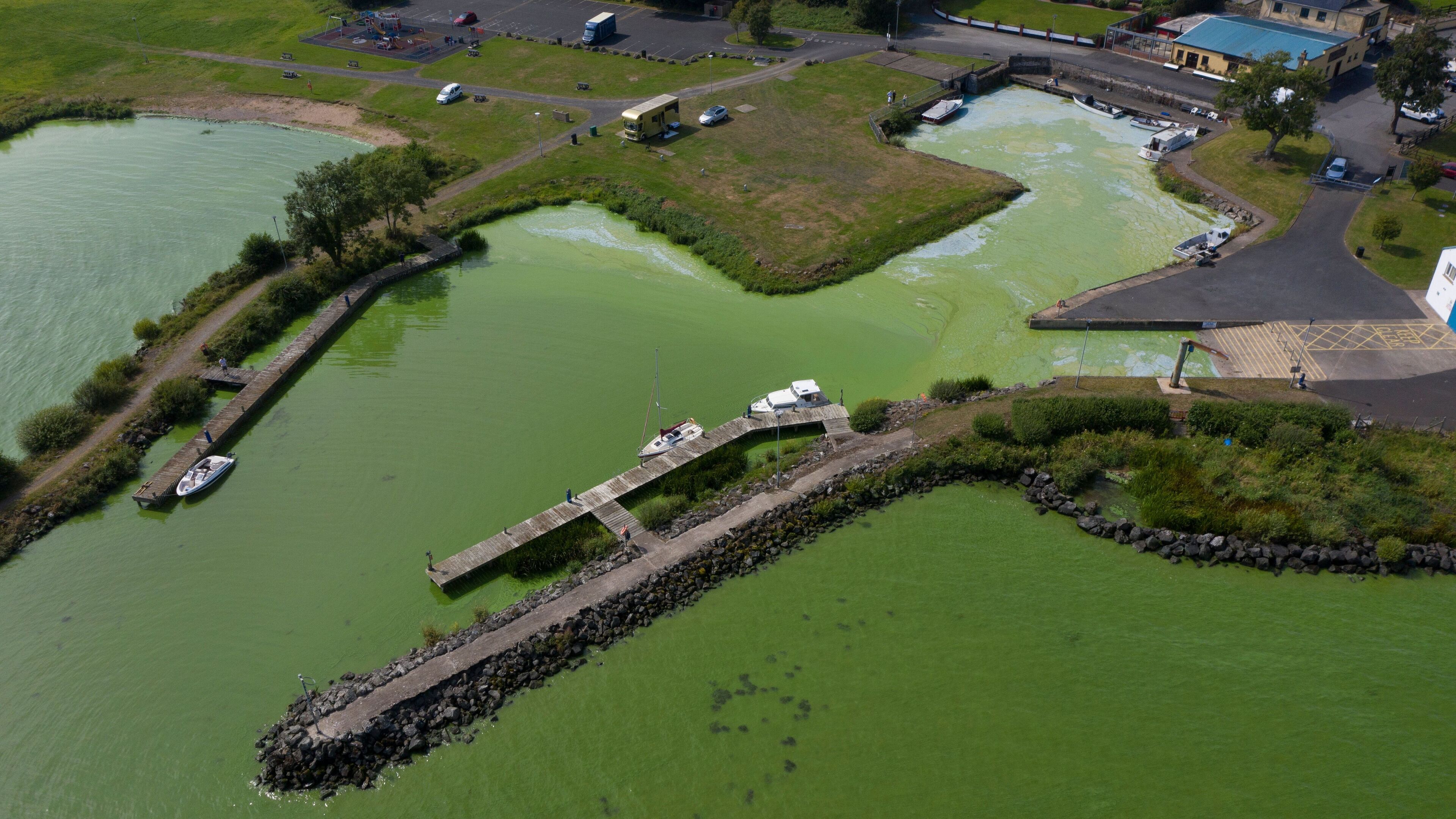 DfI orders end to night-time dredging outside designated zones at Lough Neagh