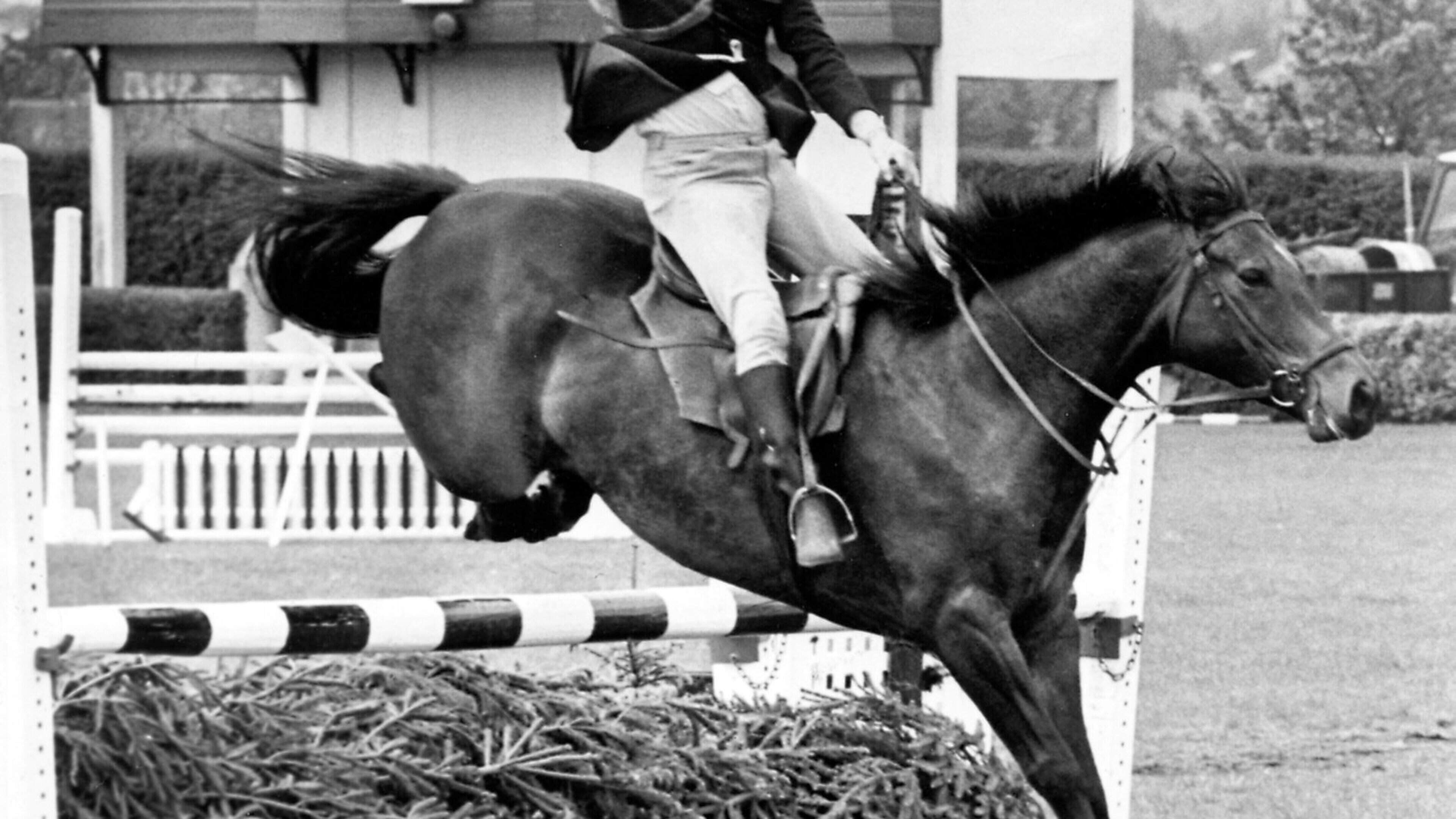From muddy fields to family days out: Balmoral Show memories unearthed