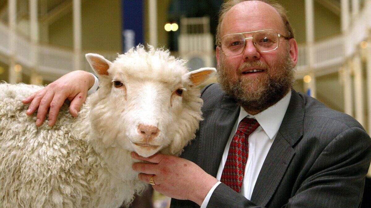 Dolly the Sheep may have pushed stem cell research forward 20 years ...