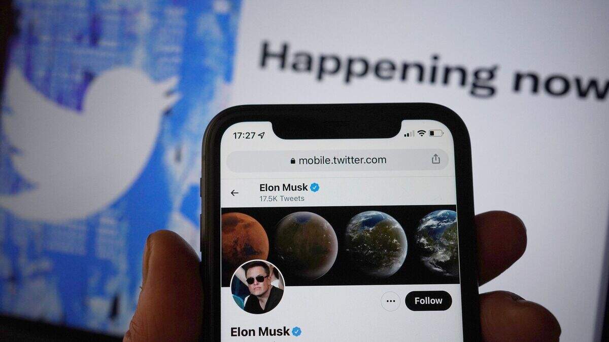 Hate speech on Twitter is rising under Elon Musk, say campaigners ...