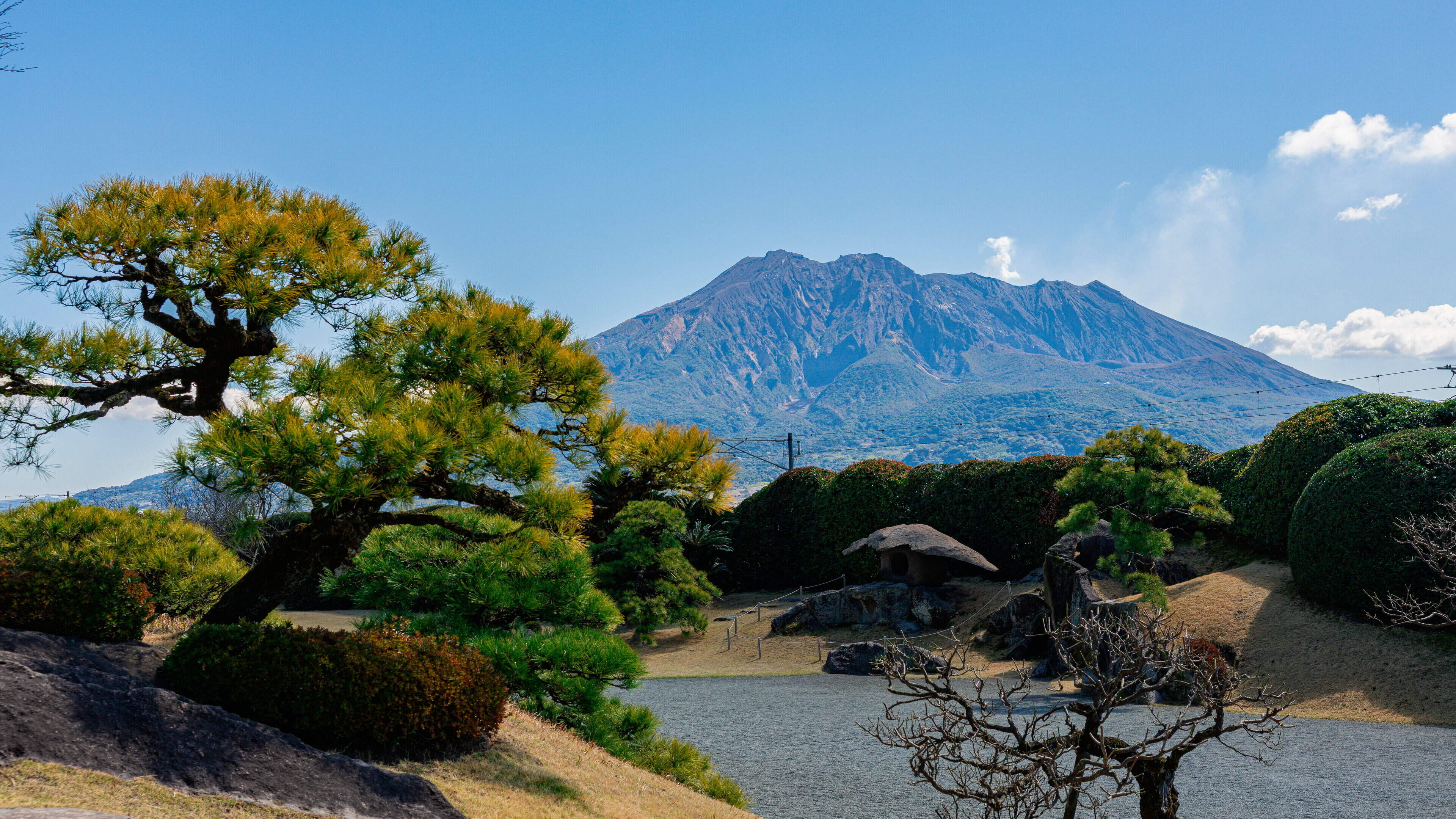 Celebrating a milestone in Japan