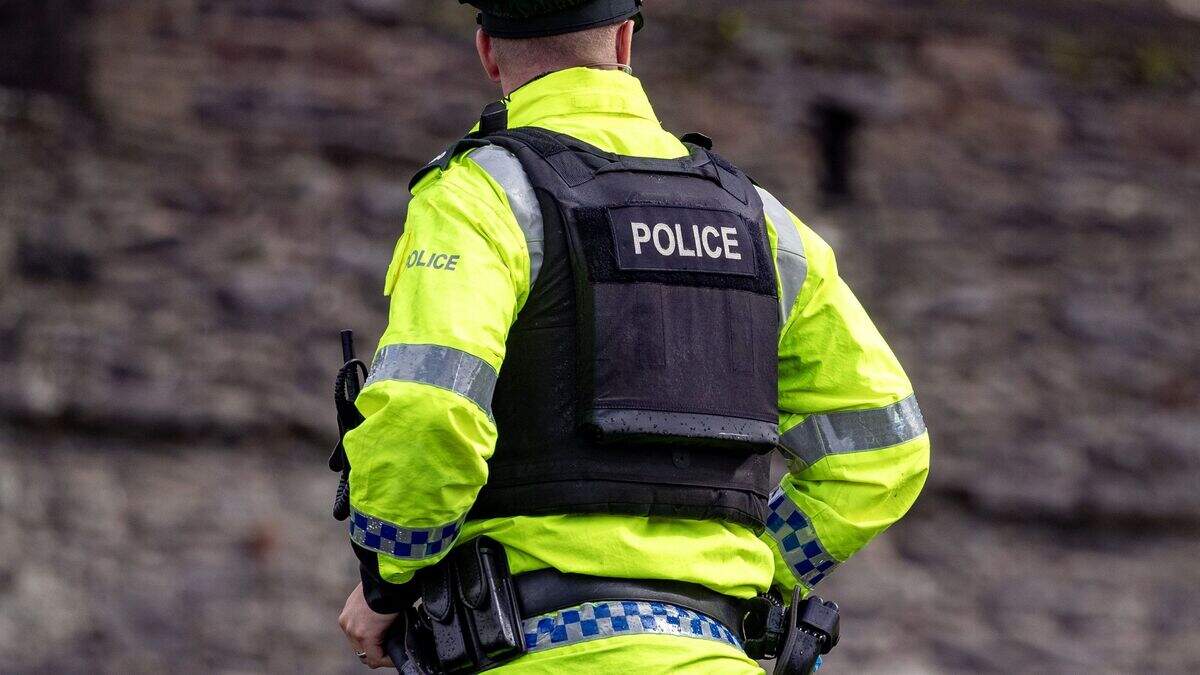 Man (31) arrested after ‘pushing officer down steps and smashing ...