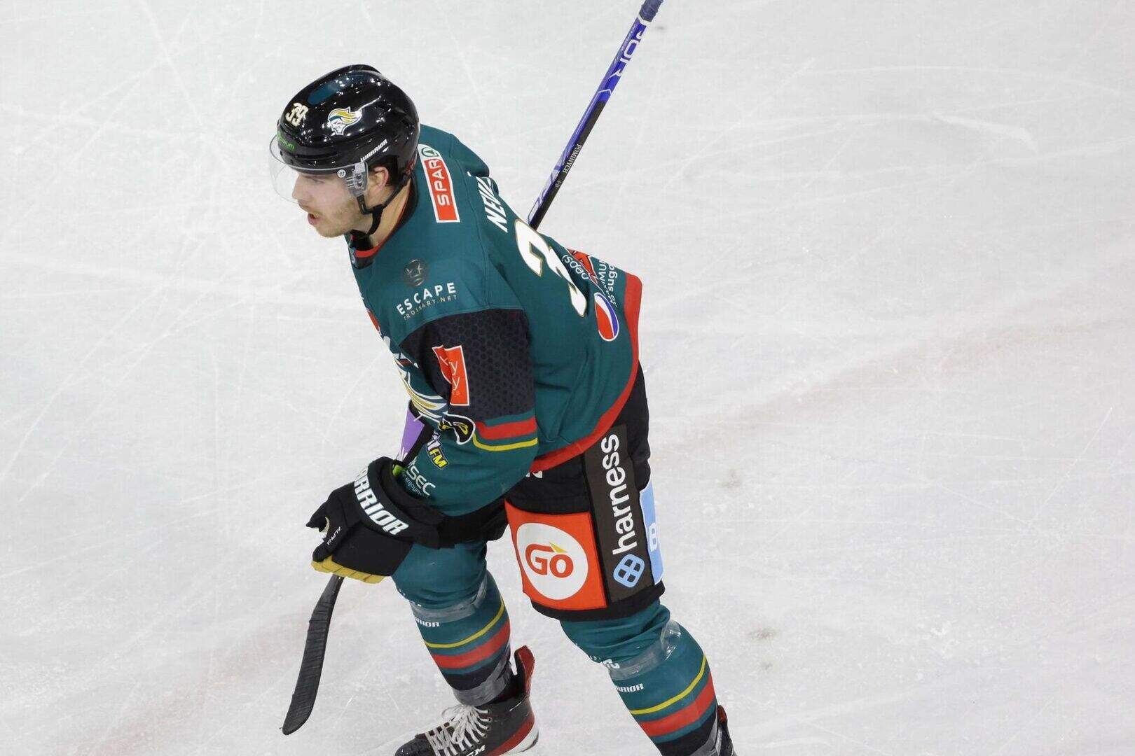 Donovan Neuls settling into life with the Belfast Giants after stellar ...