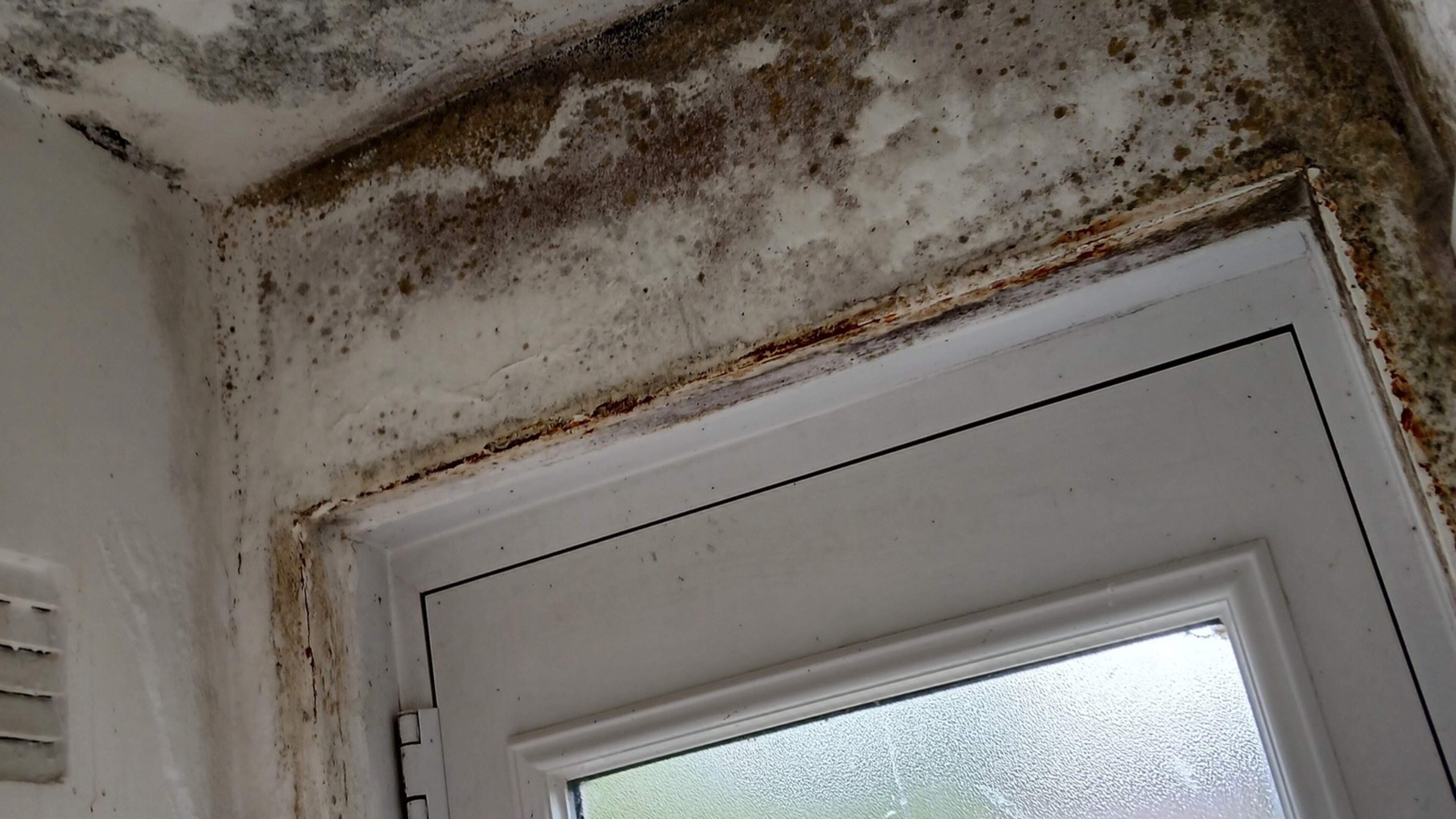 Family ‘unable to wash’ after Housing Executive contractors leave repair job unfinished