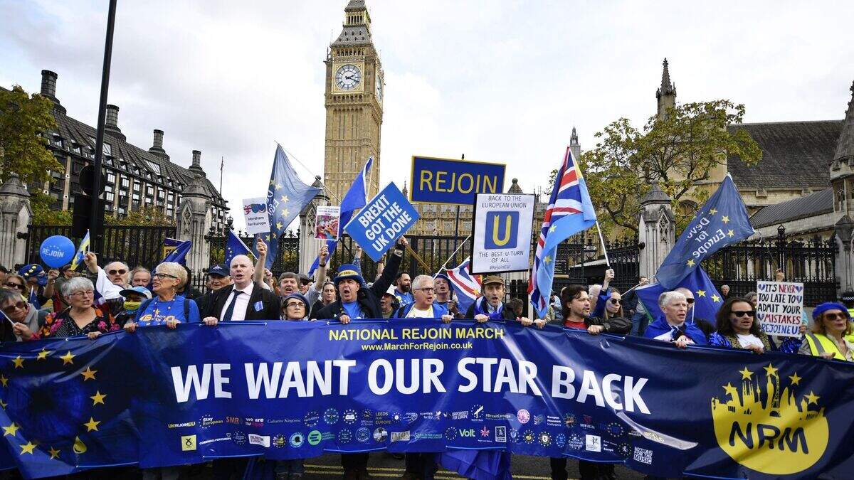 Thousands of protesters rally in London to call for the UK to rejoin ...